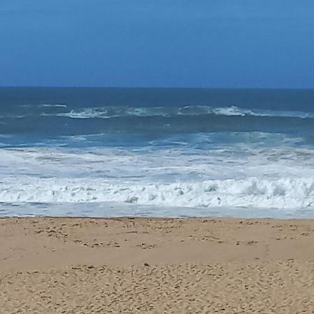 plage et forêt Pobral Exterior foto