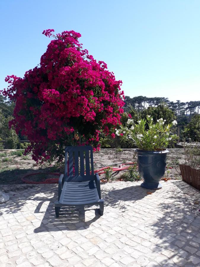 plage et forêt Pobral Exterior foto