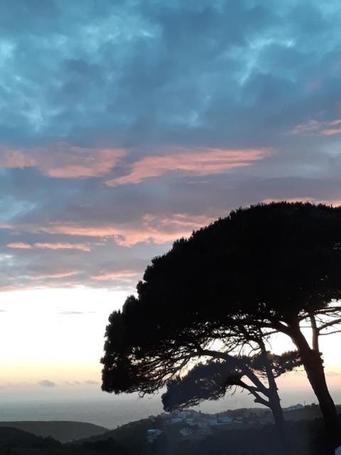 plage et forêt Pobral Exterior foto