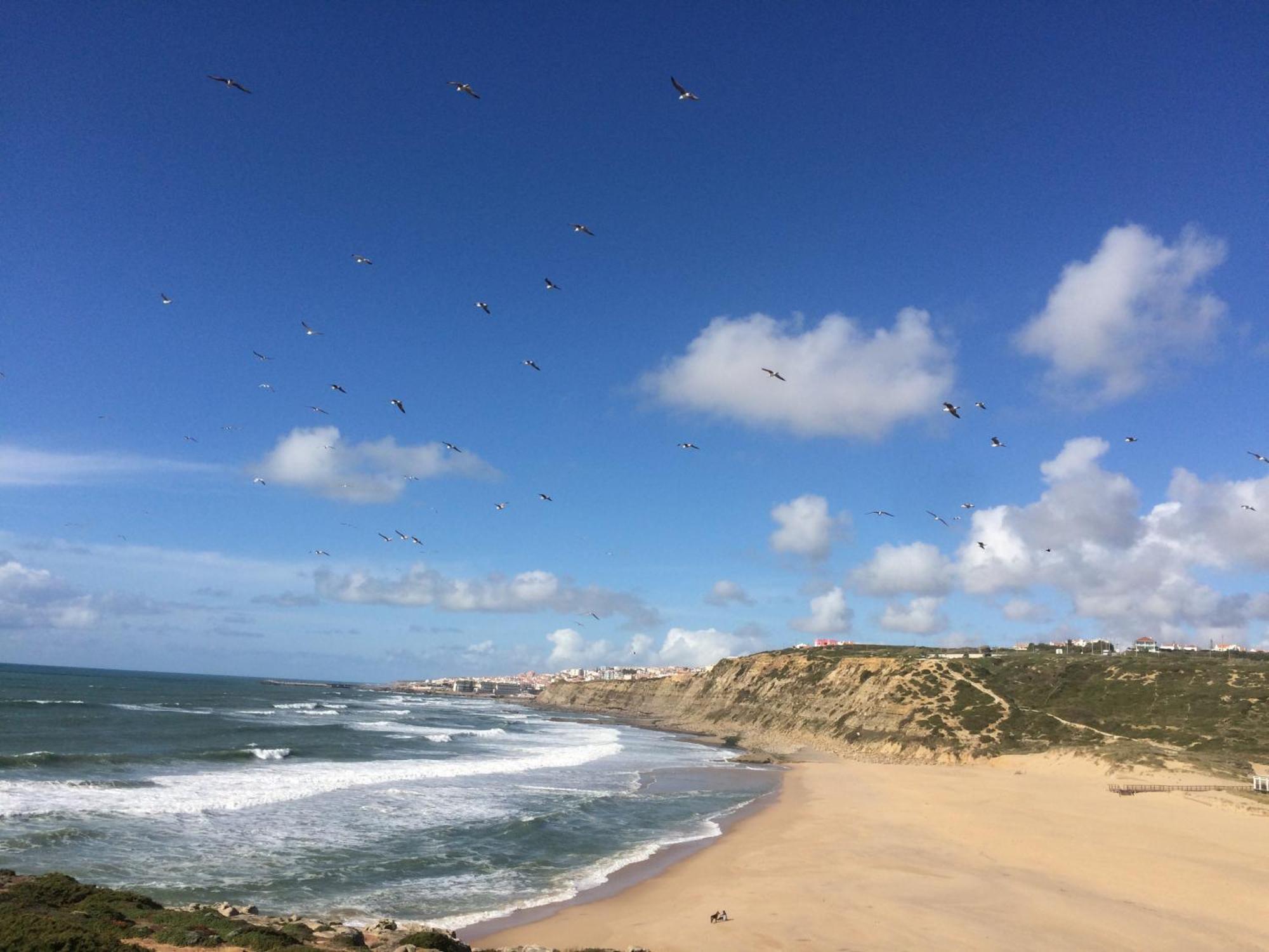 plage et forêt Pobral Exterior foto